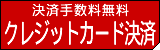�N���W�b�g�J�[�h���ώ萔������